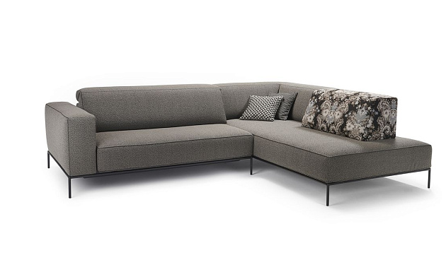 Modi 0220 Bullfrog_2