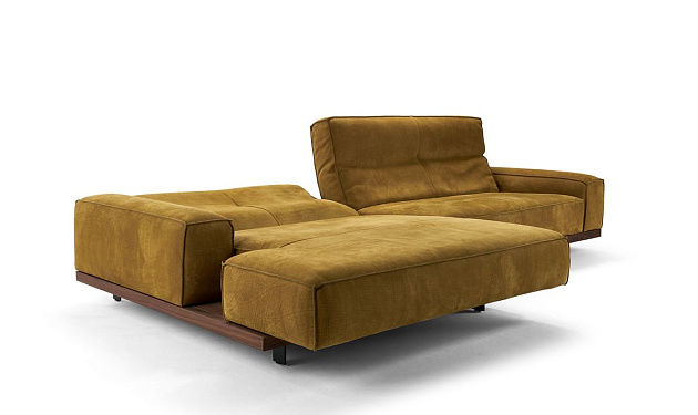 Siamo 0218 Bullfrog _1