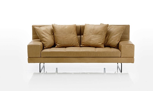 Amber Large Brühl_1