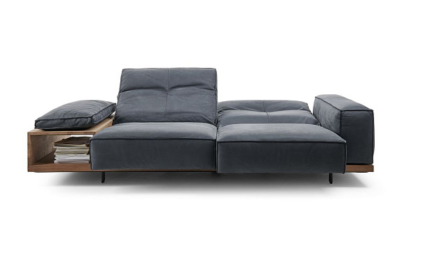 Siamo 0218 Bullfrog _5