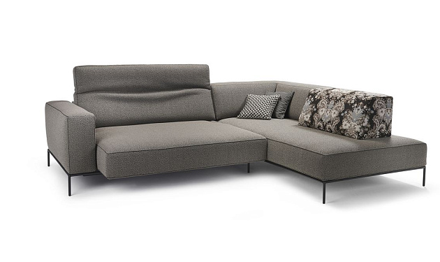 Modi 0220 Bullfrog_4