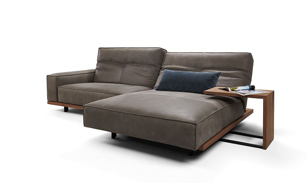 Siamo 0218 Bullfrog _7