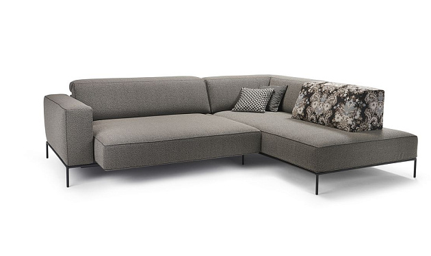 Modi 0220 Bullfrog_3