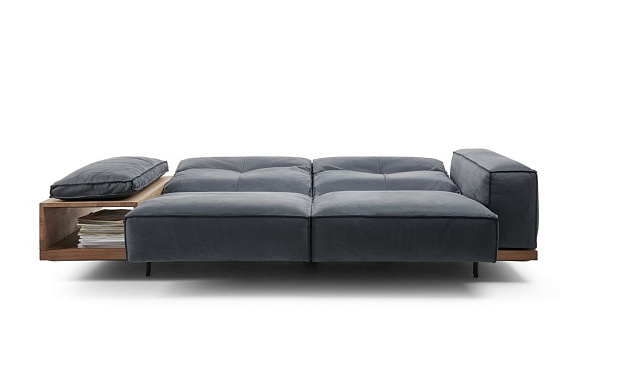 Siamo 0218 Bullfrog _6