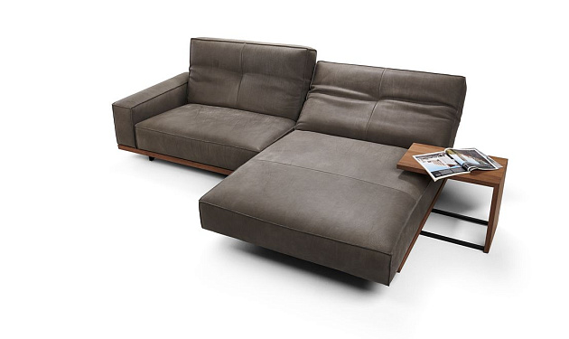 Siamo 0218 Bullfrog _8