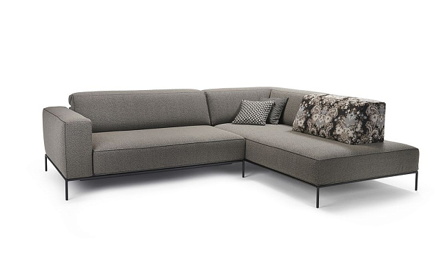 Modi 0220 Bullfrog_1