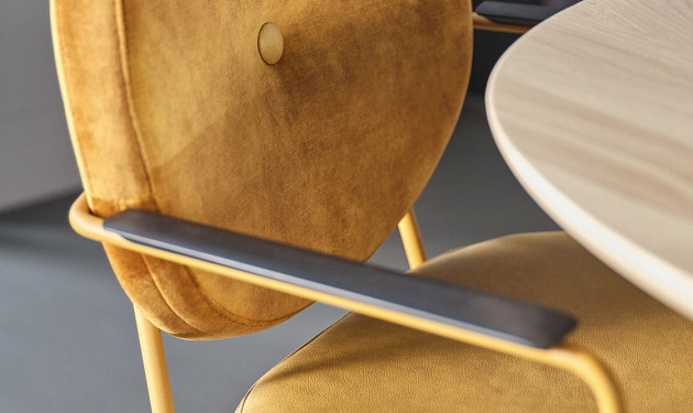 Daisy Bert Plantagie_4