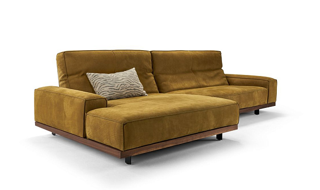 Siamo 0218 Bullfrog _0